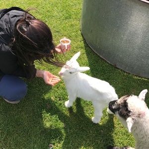 Meet your Posher, Luna